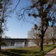 Le petit train touristique de Briare-le-Canal. Traversée par les canaux, Briare est une petite ville, du Loiret, fleurie pleine de charme au bord de la Loire. Epoque prospère où Briare était un important carrefour batelier de la Loire et des canaux mais également un site industriel produisant des perles, des boutons et de la mosaïque… Aujourd’hui les bâtiments témoignent de ce riche passé.