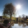 Le petit train touristique de Briare-le-Canal. Traversée par les canaux, Briare est une petite ville, du Loiret, fleurie pleine de charme au bord de la Loire. Epoque prospère où Briare était un important carrefour batelier de la Loire et des canaux mais également un site industriel produisant des perles, des boutons et de la mosaïque… Aujourd’hui les bâtiments témoignent de ce riche passé.