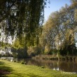 Le petit train touristique de Briare-le-Canal. Traversée par les canaux, Briare est une petite ville, du Loiret, fleurie pleine de charme au bord de la Loire. Epoque prospère où Briare était un important carrefour batelier de la Loire et des canaux mais également un site industriel produisant des perles, des boutons et de la mosaïque… Aujourd’hui les bâtiments témoignent de ce riche passé.