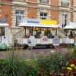 Le petit train touristique de Briare-le-Canal. Traversée par les canaux, Briare est une petite ville, du Loiret, fleurie pleine de charme au bord de la Loire. Epoque prospère où Briare était un important carrefour batelier de la Loire et des canaux mais également un site industriel produisant des perles, des boutons et de la mosaïque… Aujourd’hui les bâtiments témoignent de ce riche passé.